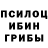 Галлюциногенные грибы Cubensis veronika vinograd