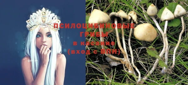 эйфоретик Алексин